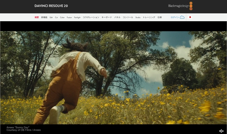 davinci resolve