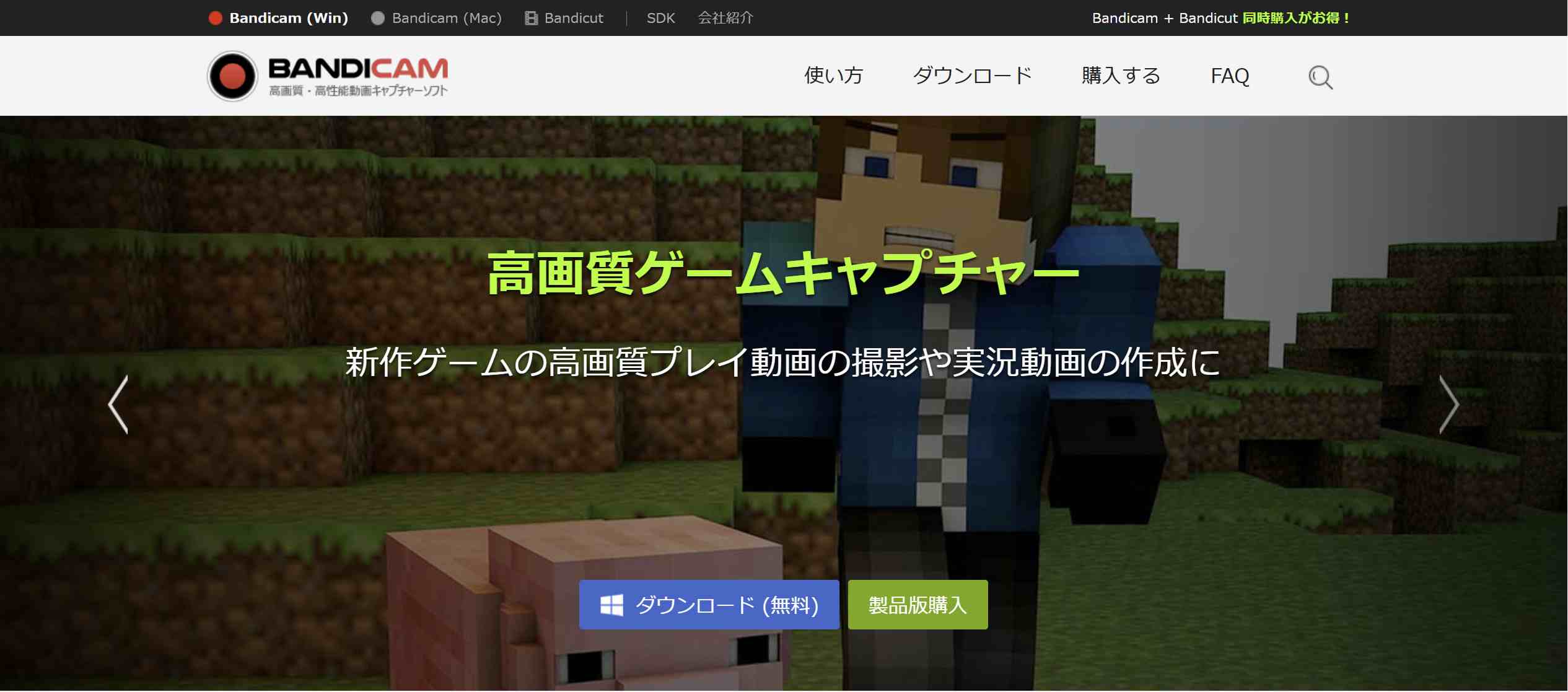 Bandicam 写真ウォーターマーク除去ツール