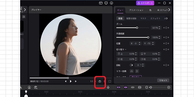 スナップショットで画像を出力