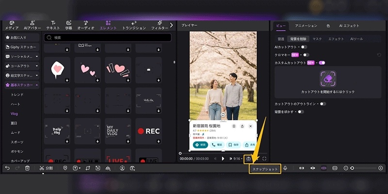 EdimakorでGoogleマップ加工ステップ7