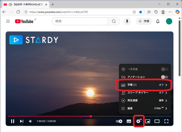 YouTube字幕の表示-コンピューター