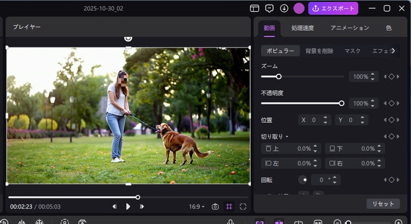 動画で簡単に顔モザイクを追加する-ステップ4