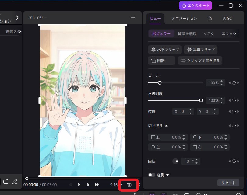 Aniとは13