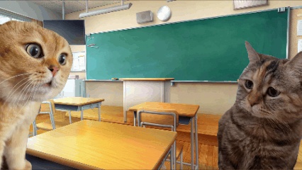 Edimakorで作成した猫ミーム動画の例