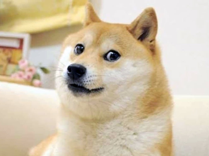 Dogeミームの画像