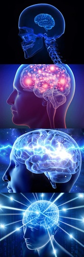 Expanding Brainミームの画像