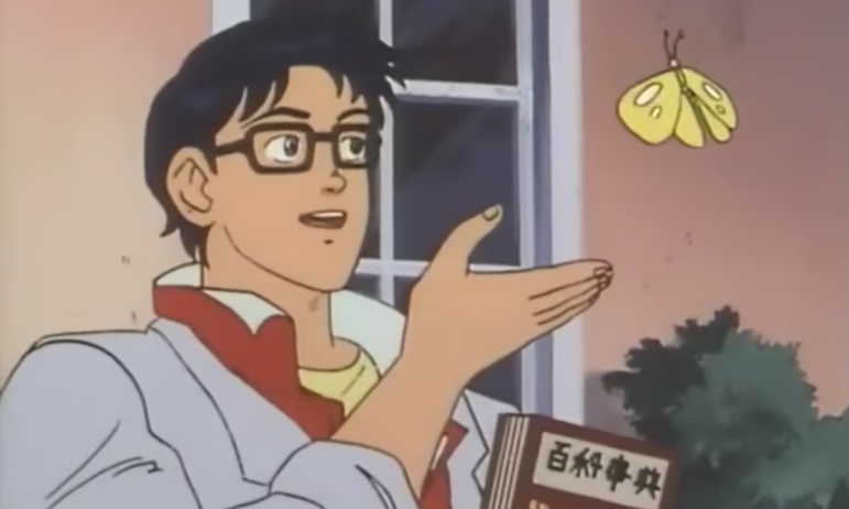 Is This A Pigeonミームの画像