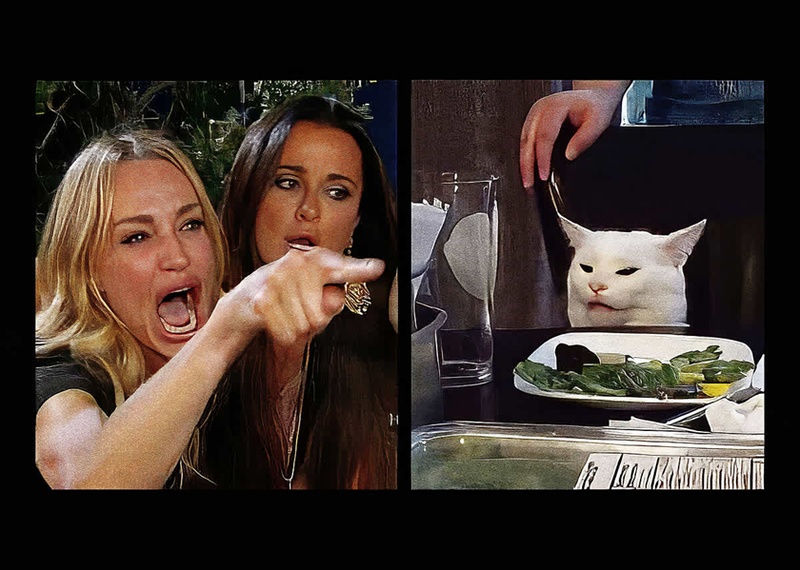 Woman Yelling at a Catミームの画像