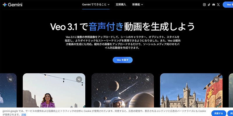 非常に高度なAI動画生成モデルの一つである