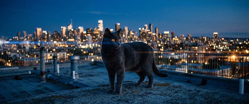 「夕暮れの屋上に立つ短毛グレー猫のシネマティックなAI生成画像」
