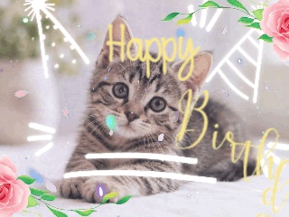 Edimakorで作成した誕生日猫のGIF動画