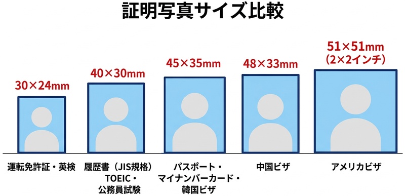 証明写真の主要サイズ一覧を比較した図