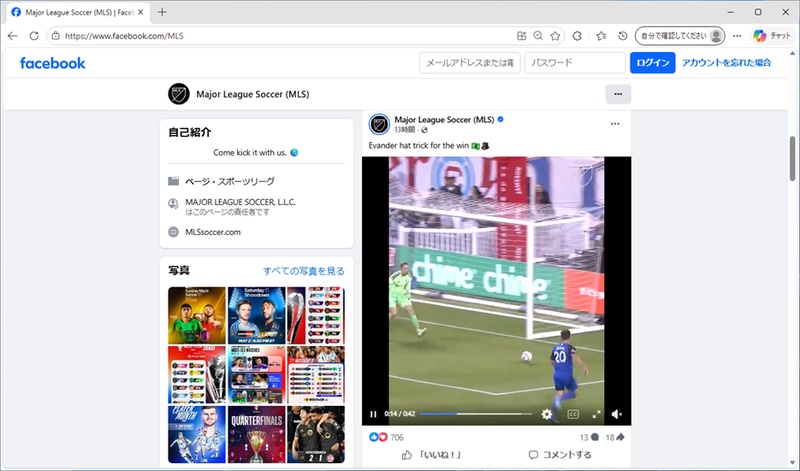 Facebook MLSのサイト例