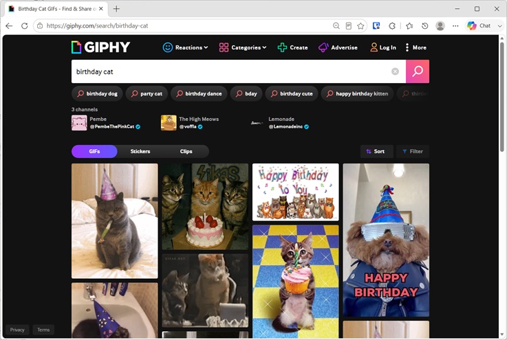 「birthday cat」と入力されたGIPHYの検索結果画面