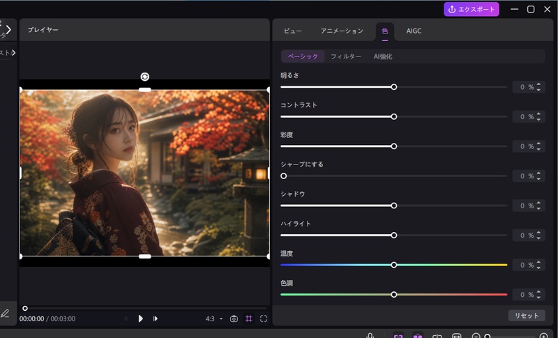 HitPaw Edimakorの動画補正パネル