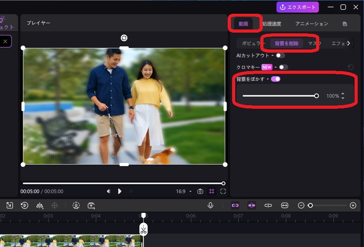 HitPaw Edimakorの背景ぼかし効果の設定画面