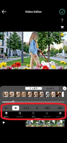 「動画モザイク」でモザイク対象を指定している編集画面