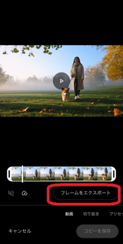 GoogleフォトアプリのiPhone版でフレームをエクスポートする操作画面