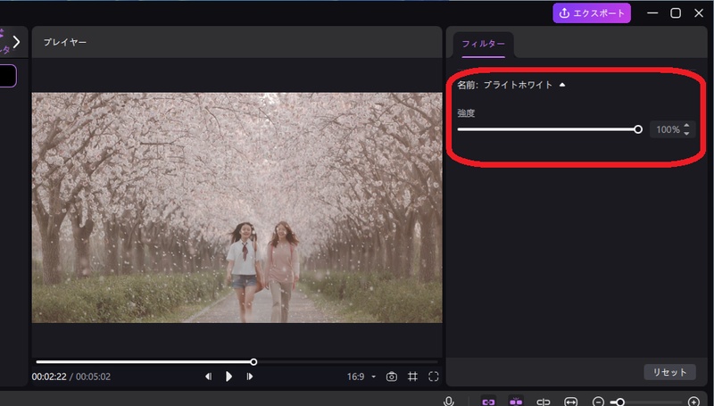 Edimakorで強度を調整しながらフィルターを適用する画面