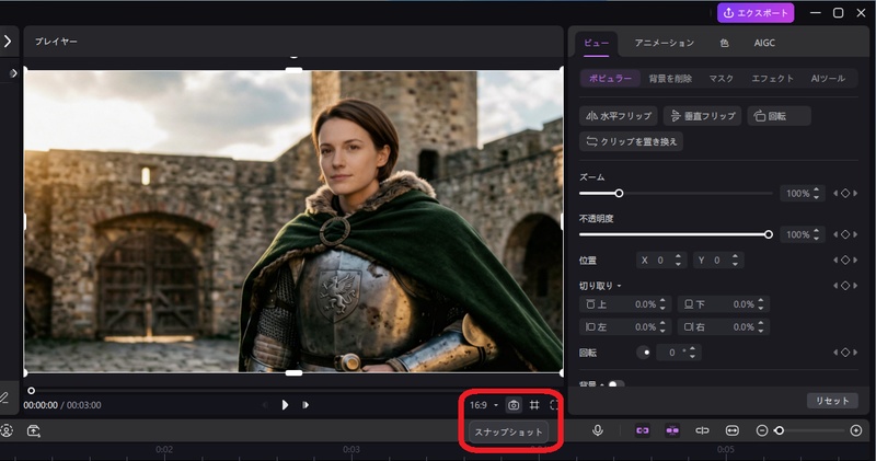 結果を確認してスナップショットをクリックする画面