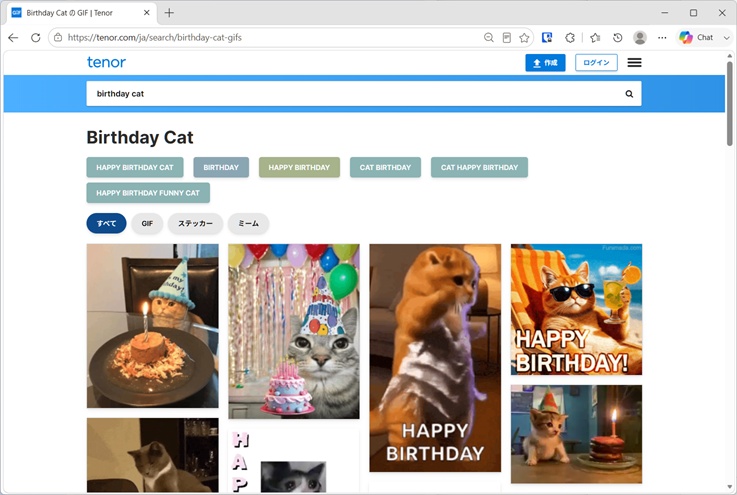 Tenorで「birthday cat」の検索結果一覧