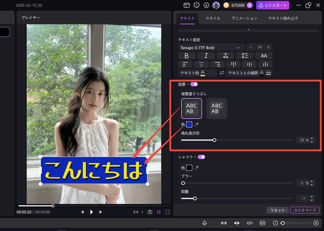 テキストの編集とカスタマイズ4