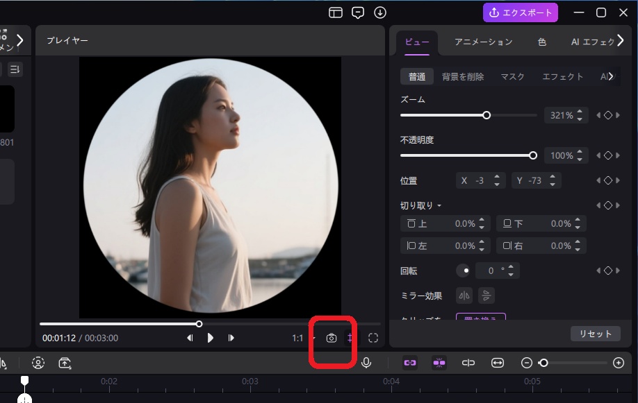 スナップショットで画像を出力