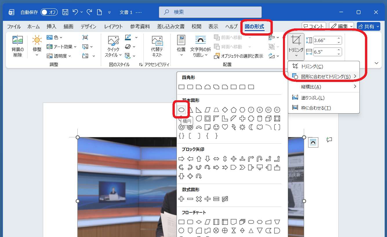 Wordに挿入した四角い写真の角を丸くする