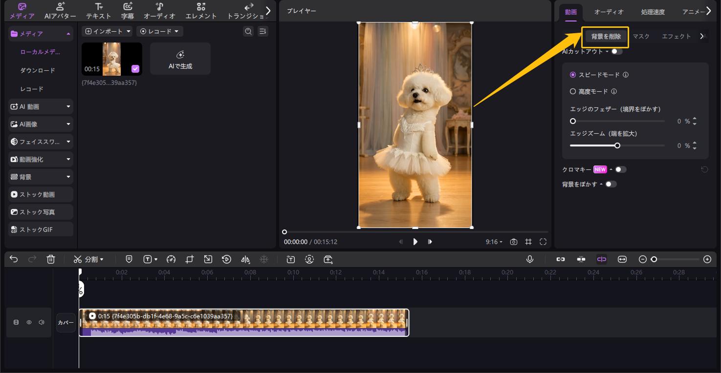 動画 背景削除 操作画面