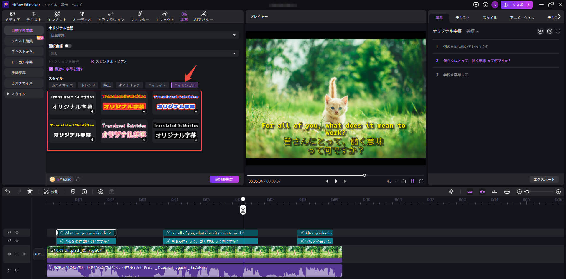 hitpaw edimakor 自動字幕翻訳 - カスタム字幕プリセット